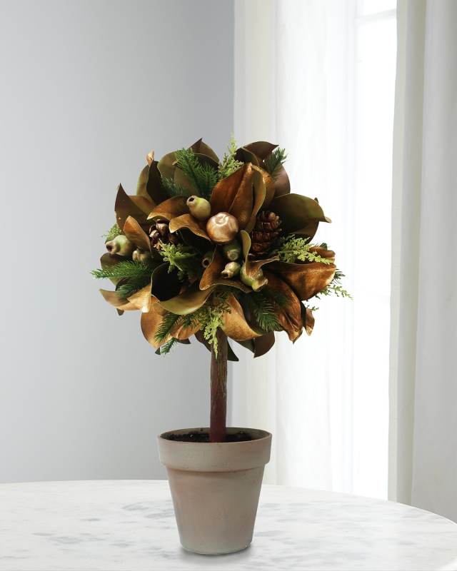 Magnolia Leaf In Pot